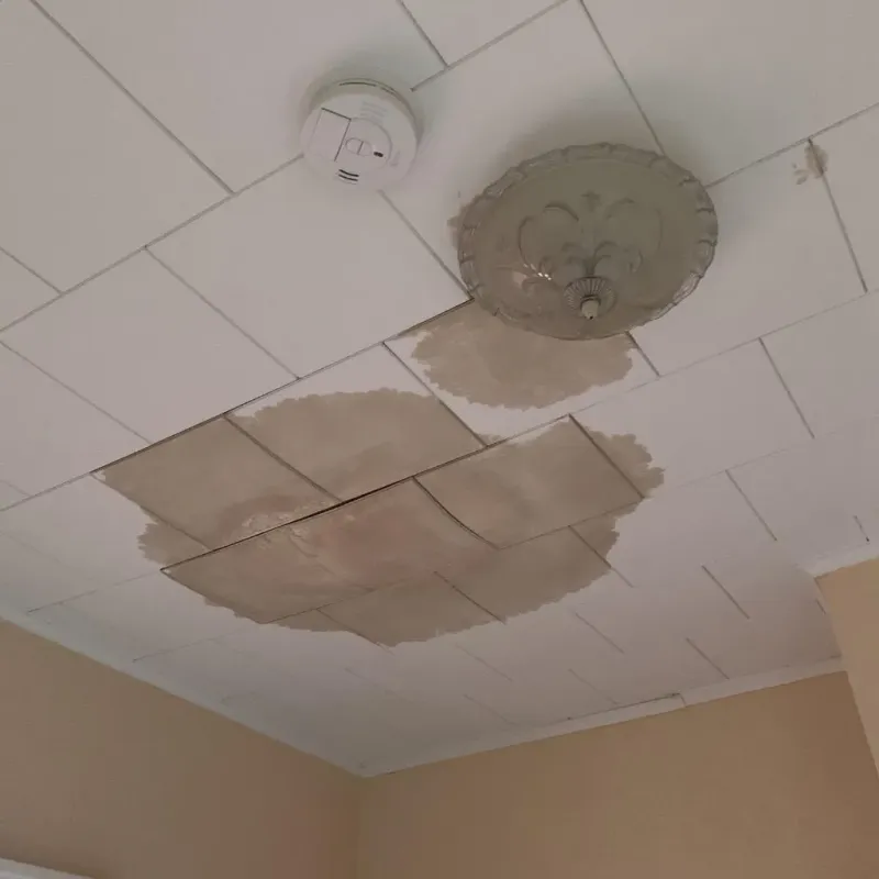 Ceiling Water Damage Repair in Leake County, MS