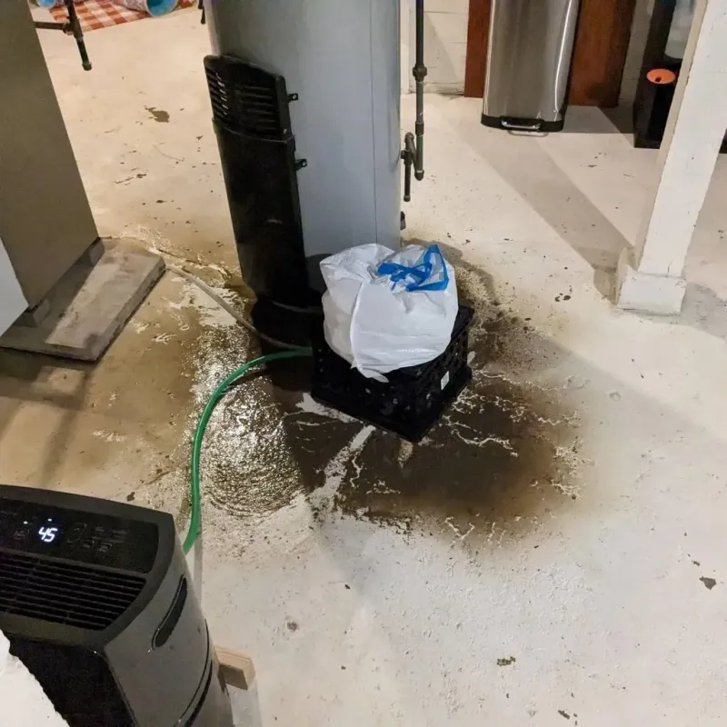Sewage Backup Cleanup Service in Leake County, MS